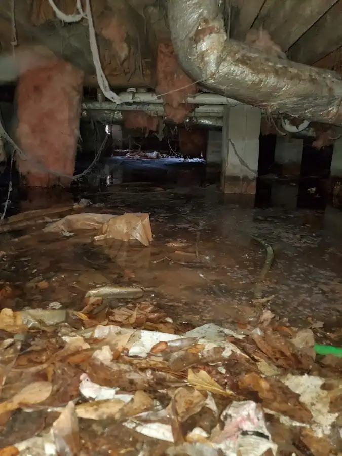 Crawl space flood assessment for Leak Detection & Repair in College Place